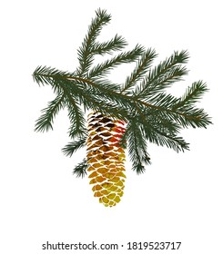 A colored spruce cone. Vector illustration