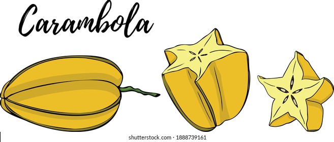 Colored Star fruit. A slice of carambola. Exotic tropical fruit. Vector, Sketch Botanical Illustration. Eco healthy food. Superfood.