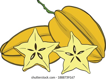 Colored Star fruit. A slice of carambola. Exotic tropical fruit. Vector, Sketch Botanical Illustration. Eco healthy food. Superfood.
