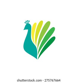 Colored stylized silhouette of a peacock on a white background. Logo design for company.