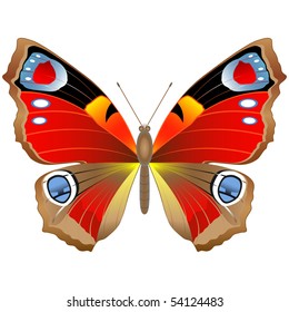 Colored summer butterfly