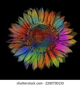 Colored sunflower flower object on a black background. Vector illustration