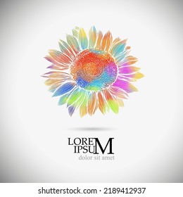 Colored sunflower flower object. Vector illustration