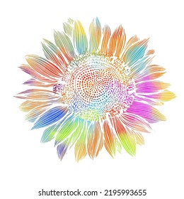 Colored sunflower flower object. Vector illustration