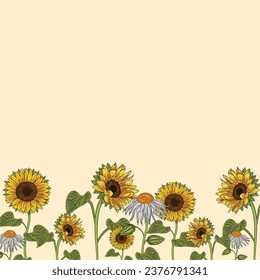 Colored sunflower frame Flower border Vector illustration