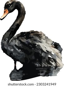 Colored Swan Vector, Print, Illustration