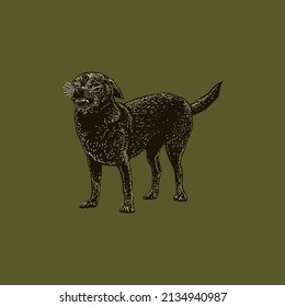 colored taco terrier dog hand drawing. object isolated on background. easy editable.
