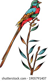 The colored of the tailed flycatcher perch on leaves stalks of illustration