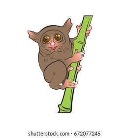 colored Tarsier on bamboo tree-vector drawing