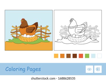 Colored template and colorless contour image of brood chicken sitting on eggs in nestle on countryside farm bird yard preschool kids coloring book illustration. Domestic animals coloring pages