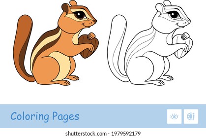 Colored template and colorless contour image of a chipmunk holding a nut isolated on white background. Wild animals preschool kids coloring book illustrations and developmental activity.