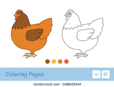 Colored template and simple colorless thick contour image of staying chicken for the youngest children coloring book. Domestic animals at farm, bird yard and on countryside. Fun and learning for kids.