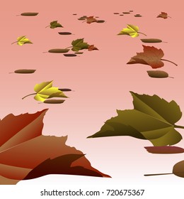 Colored thanksgiving background with leaves, Vector illustration