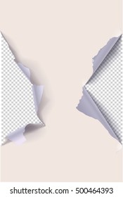 Colored torn paper on a transparent background. Vector illustrations.