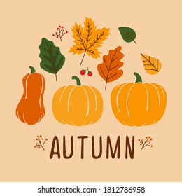 Colored trendy vector illustration in flat style. Hand-drawn mushrooms, pumpkins, berries, leaves.