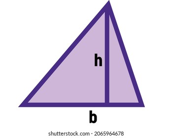 Colored triangle representing the main tools for calculating the area