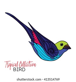 Colored tropical bird. Vector illustration.