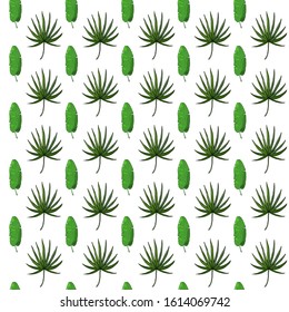 colored tropical leaves seamless pattern on white background. banana leaf vector and fan palm leaf 