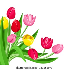 Colored tulips. Vector illustration.