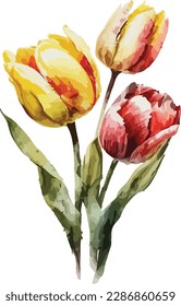 Colored Tulips Vector, Print, illustration