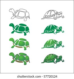 colored turtle / tortoise vector illustration