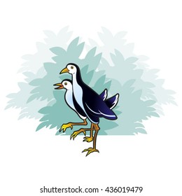 colored two water hens walking near blue bush-vector drawing