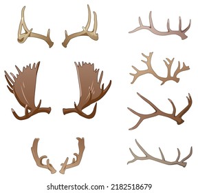 Colored vector antlers, front and side views