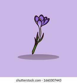 Colored Vector Crocus. Crocus Flower Vector. Spring Crocus Flower. Spring Flower For Background, Icon, Logo, Sticker.