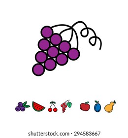 Colored vector icon grape with fruits