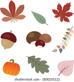 Colored vector icons: autumn leaves, pumpkin, acorn, chestnuts