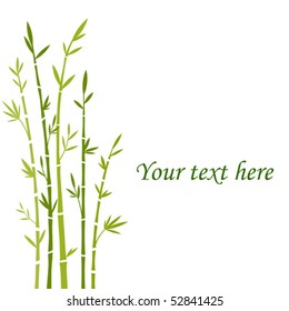 Colored vector illustration of bamboo trees