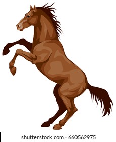 Colored vector illustration of a brown horse standing on its hind legs