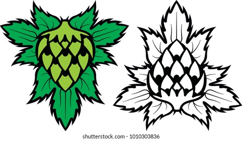 colored vector illustration with color and monochrome hops.