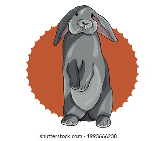 Colored vector illustration - cute gray rabbit	