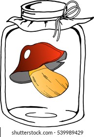 Colored Vector illustration. jar of pickled mushroom.
