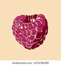 Colored vector illustration of  raspberry. For cosmetic package design, medicinal herb, treating, half care, prints. Design element  for fabric, textile, clothing, wrapping paper, wallpaper