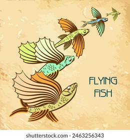 Colored vector illustration of a school of fish. Flying fish. Isolated flat vector design for postcards, prints, stickers or books.