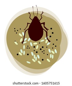 Colored Vector Illustration. Silhouette Bed Bug Isolated On White Background. Bedbug Nest With Black Dots (bedbug Shit) And Bug Larvae. Top Profile. The Insect Lives In The House In Your Bed.