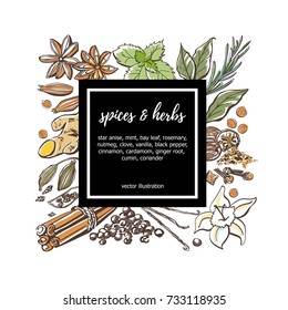 Colored vector illustration Spices and herbs. Hand drawn sketchy doodle objects in square composition with black label and place for your text. Card, poster, badge, label or banner design.