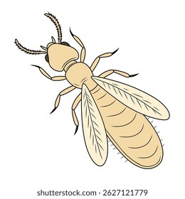 Colored vector illustration of a termite with clear anatomical details, perfect for design, educational books, and digital artwork.