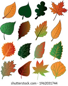 Colored vector leaves of different trees. Red aspen, yellow maple, brown, green oak. lilac