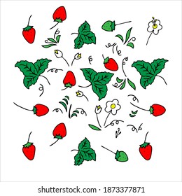 Colored Vector outline set of strawberries and leaves and flowers isolated on a white background