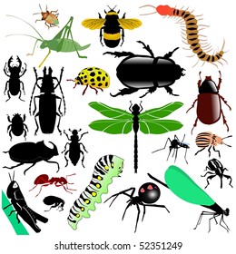 colored vector set of insects svg