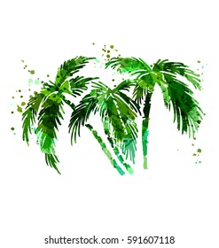 Colored vector silhouette of palm trees. Vector illustration