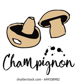 Colored vector sketch of Champignon with black blobs. Eco Food