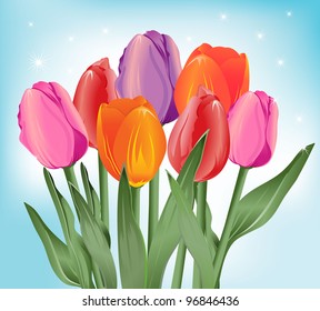 Colored vector tulips with blue sky background