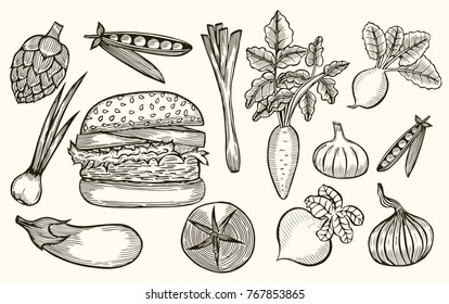 Colored Vegetable Black and white Set With Hamburger. Sketch of tomato, carrot, eggplant, onion, beet, radish