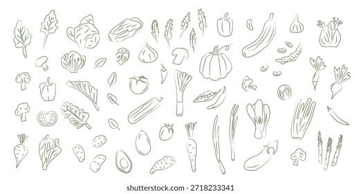 Doodle vegetal coloreado en estilo de boceto de crayón. Los iconos de productos de jardín dibujados a mano para la marca de alimentos saludables, el empaque y el diseño de patrones. Ilustración vectorial aislada sobre fondo blanco.