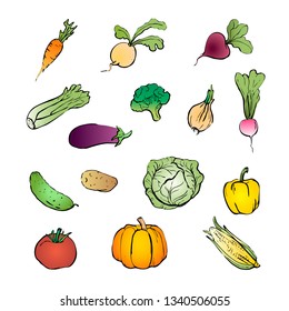 Colored vegetables on white background drawing.
