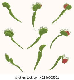 colored venus flytraps. object isolated on background. easy editable.